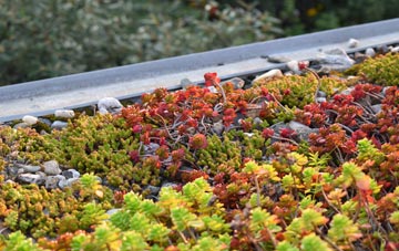 the cost of Corgee green roof installation