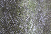 Corgee fibreglass roof work